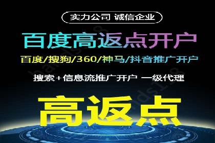 竞价广告策略案例分析